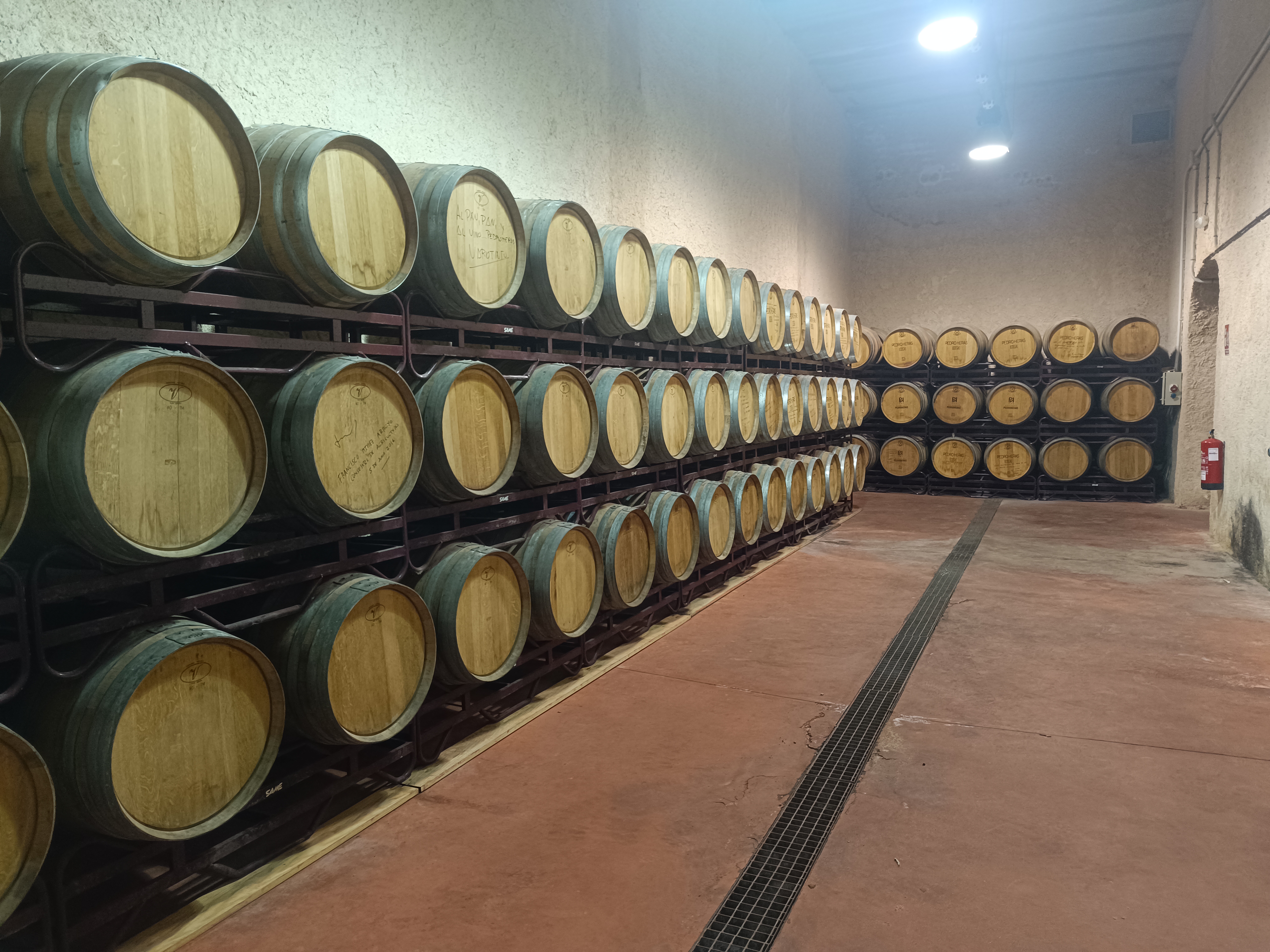 Interior de la bodega de Bodegas Pedroheras