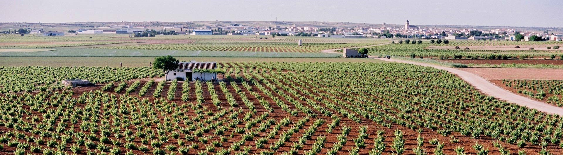 Paisaje de Las Pedroñeras