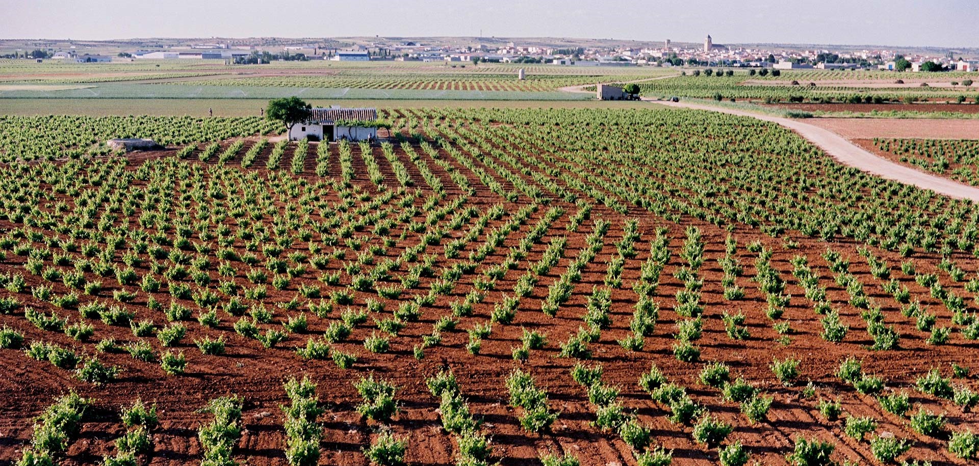 Paisaje de Las Pedro&ntilde;eras